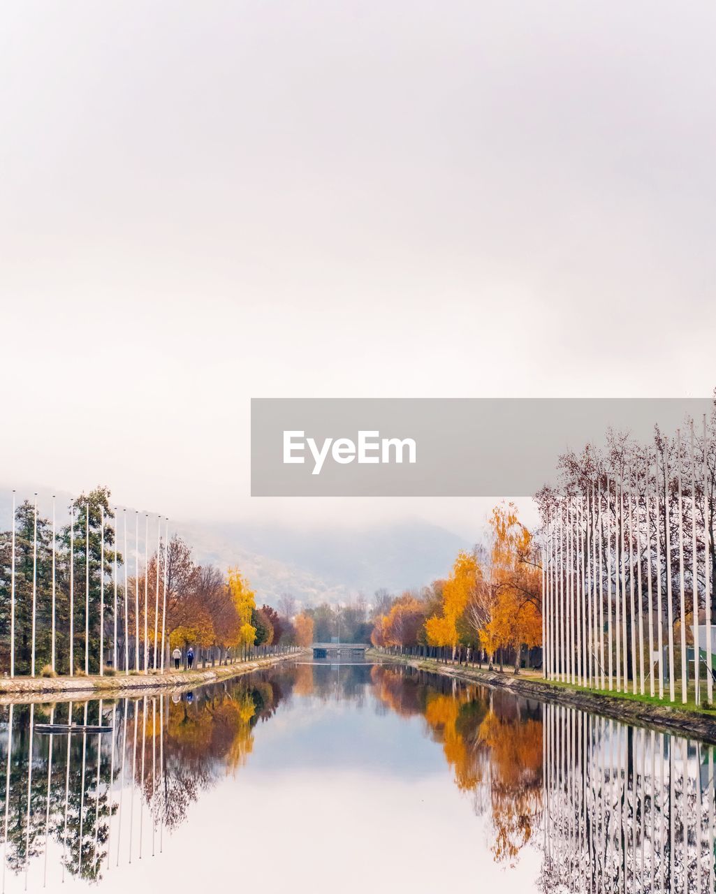Reflection of trees in water against sky