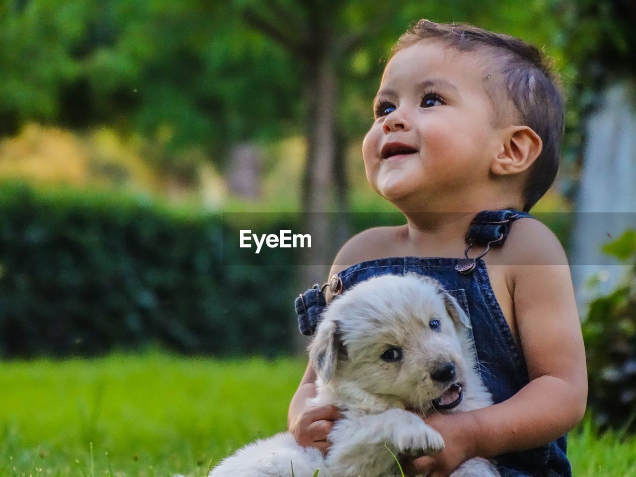 Cute baby boy playing with puppy on grassy field at park