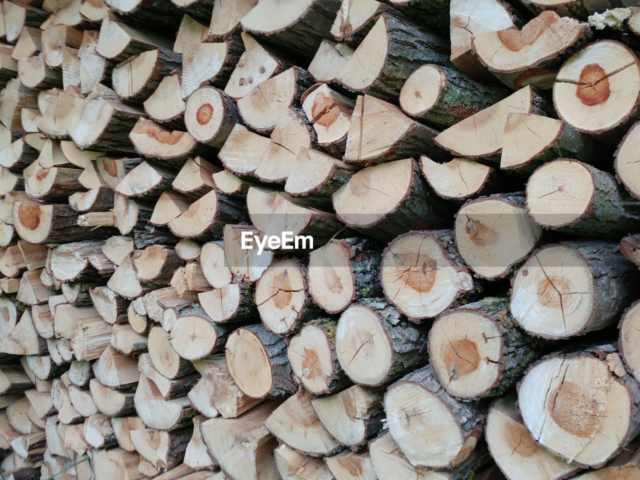 Full frame shot of logs