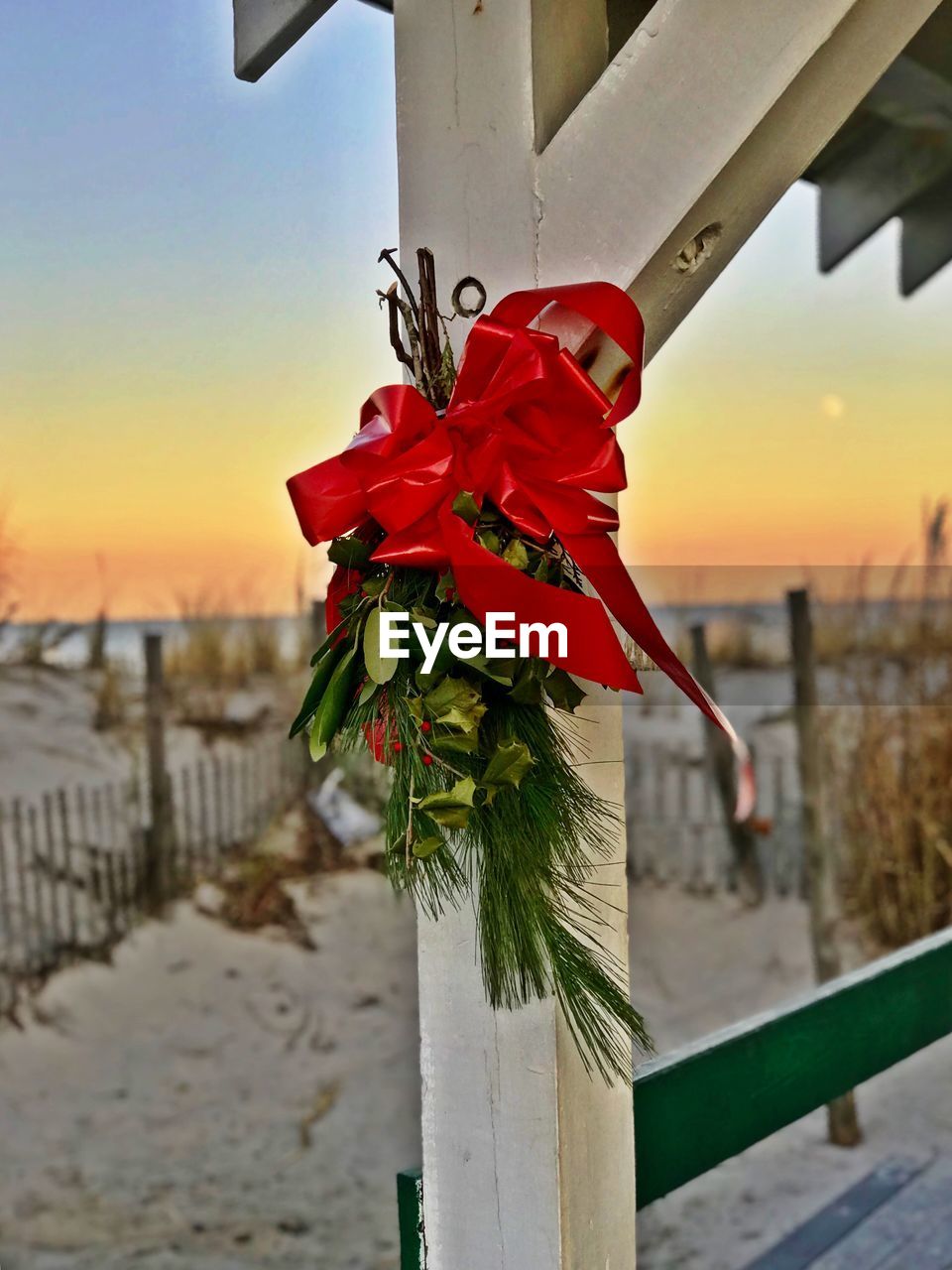 CLOSE-UP OF RED FLOWER AT BEACH AGAINST SKY