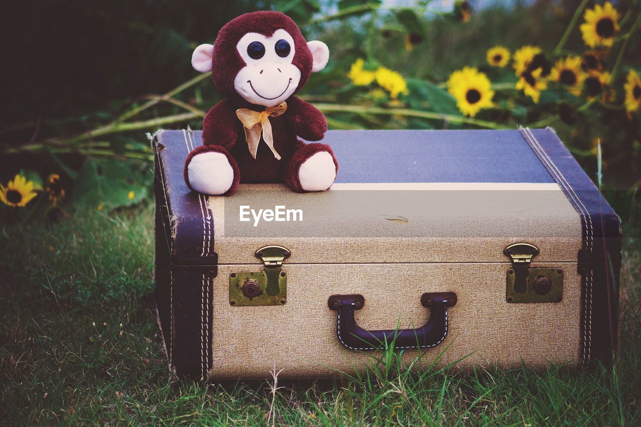 Stuffed toy and luggage on field