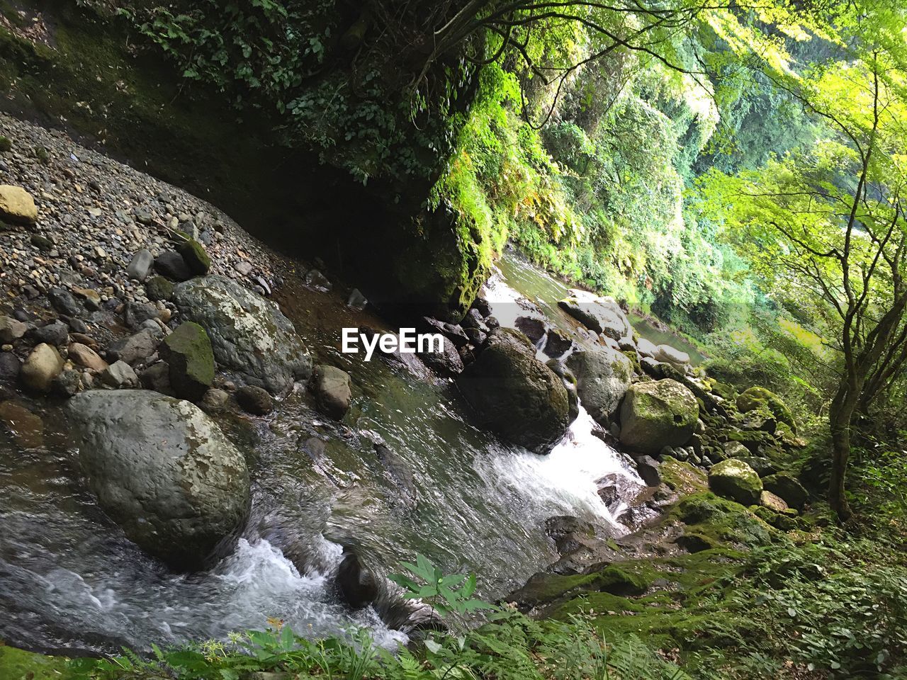 WATERFALL IN FOREST