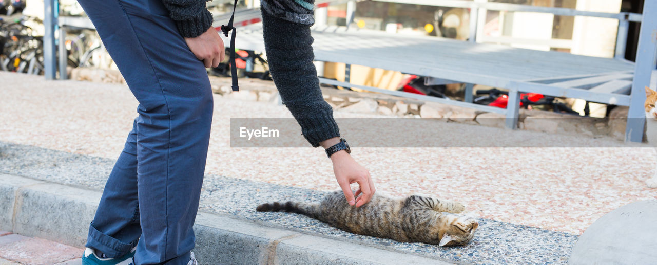 Man and cat on street in city