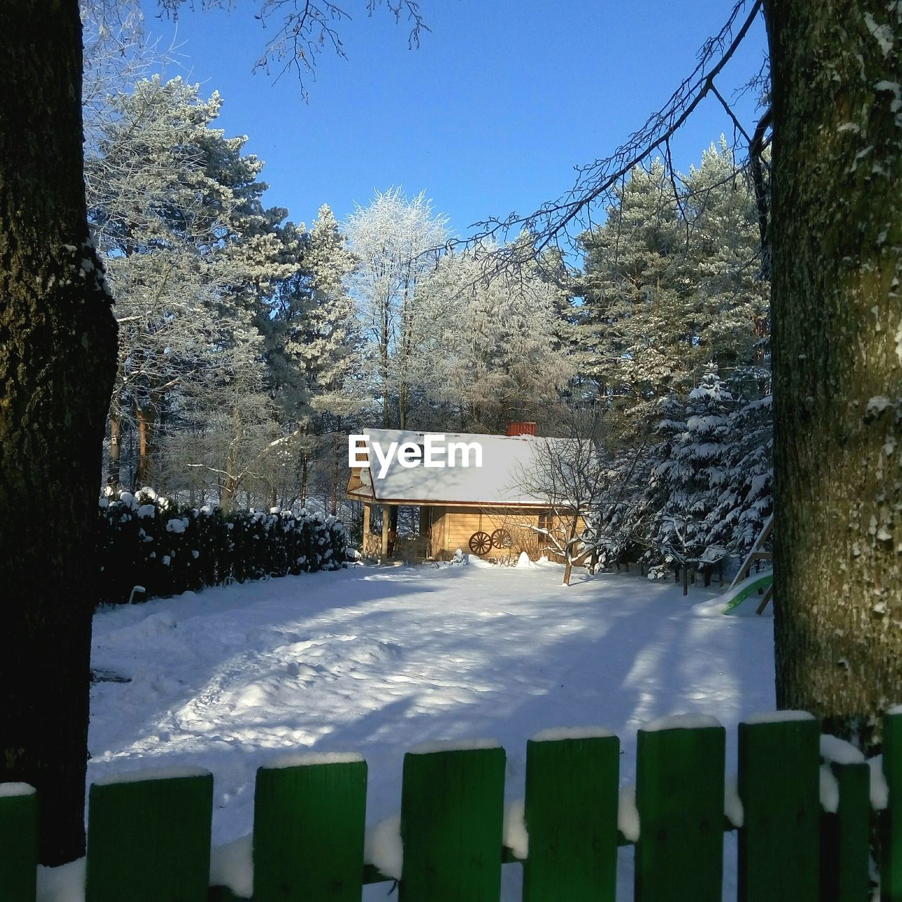 FROZEN LANDSCAPE AGAINST CLEAR SKY