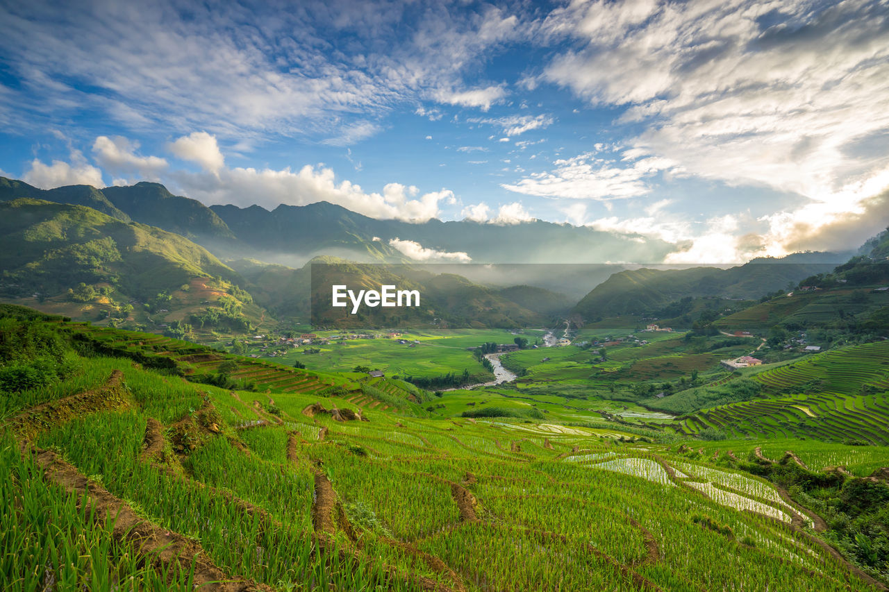 Scenic view of agricultural field against sky