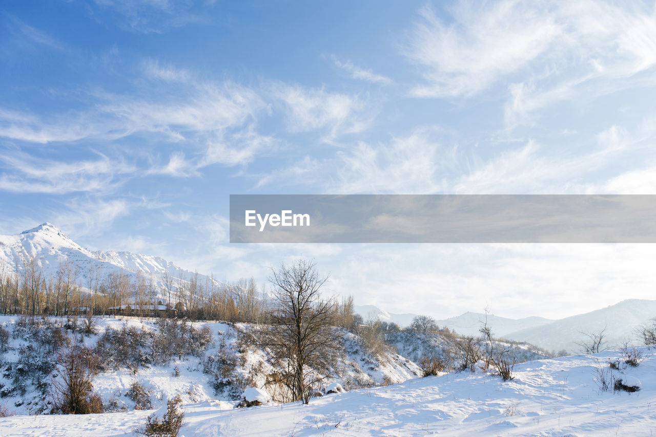 Beautiful snowy winter in the mountains of uzbekistan