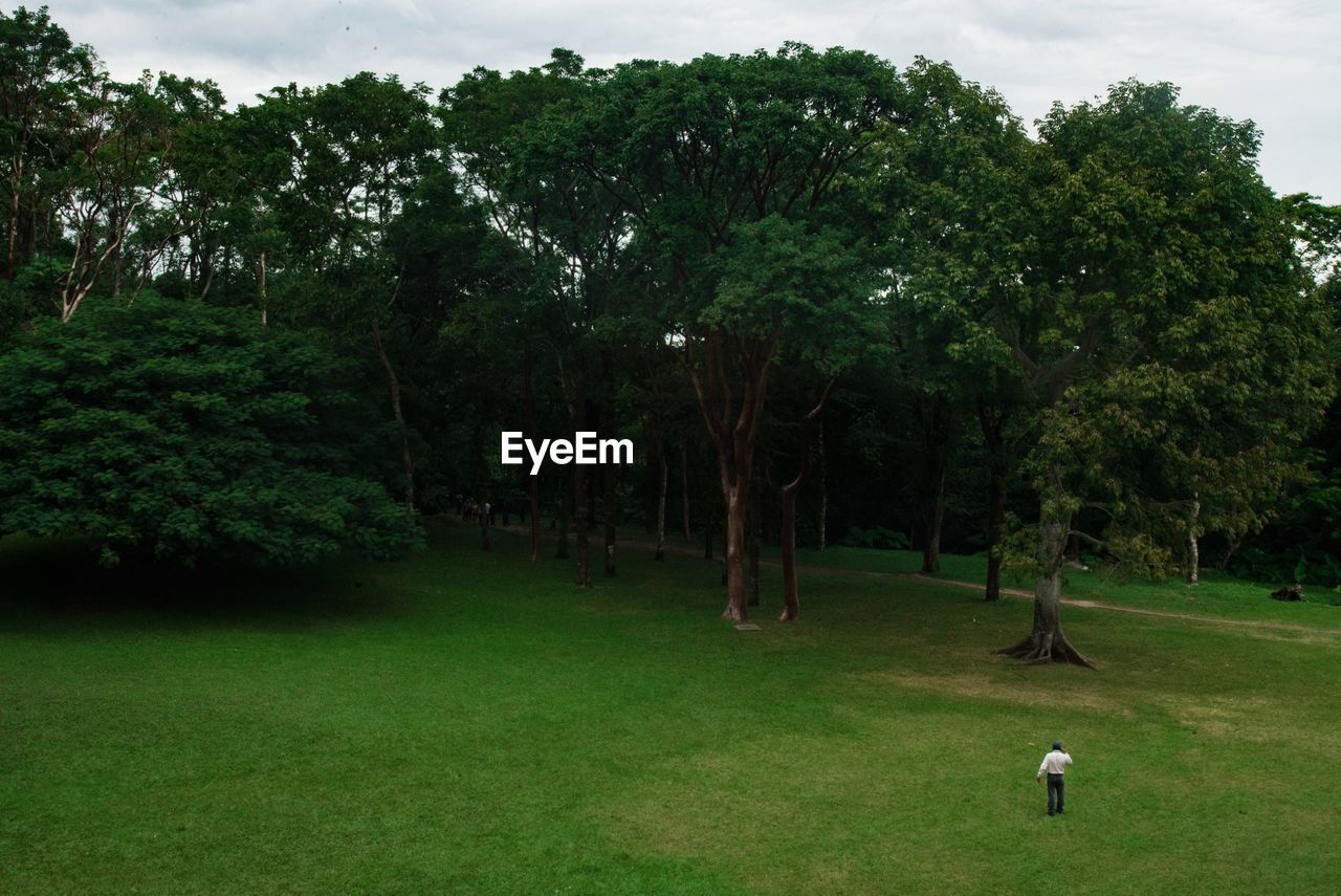 TREES AND GRASS ON LANDSCAPE AGAINST SKY