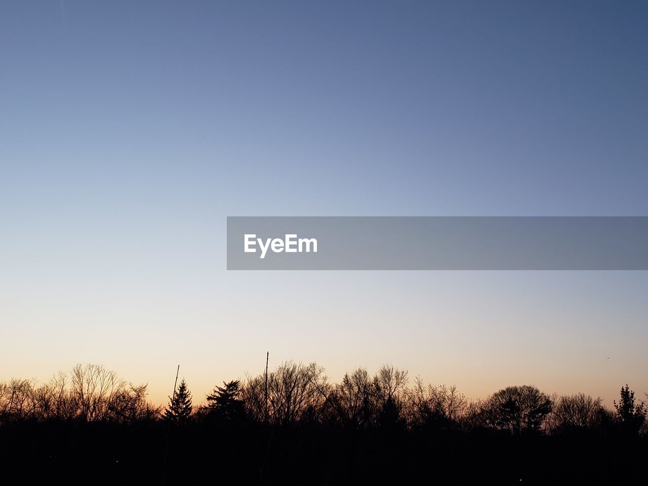 SILHOUETTE TREES GROWING ON FIELD AGAINST CLEAR SKY DURING SUNSET