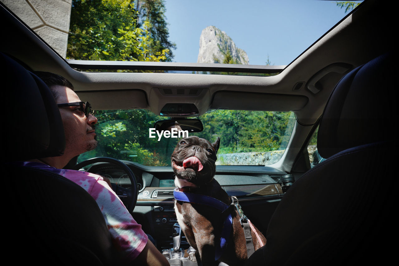 People and french bulldog sitting in car