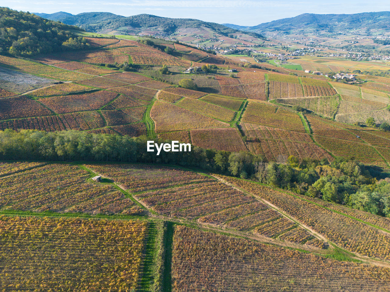 high angle view of agricultural field