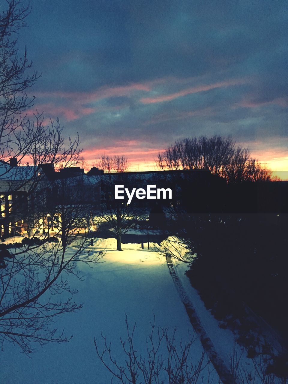 Bare trees on snow by buildings against sky during sunset