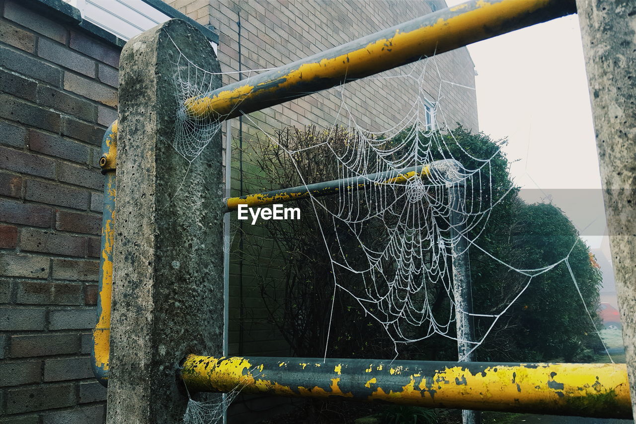 Low angle view spider web on railing