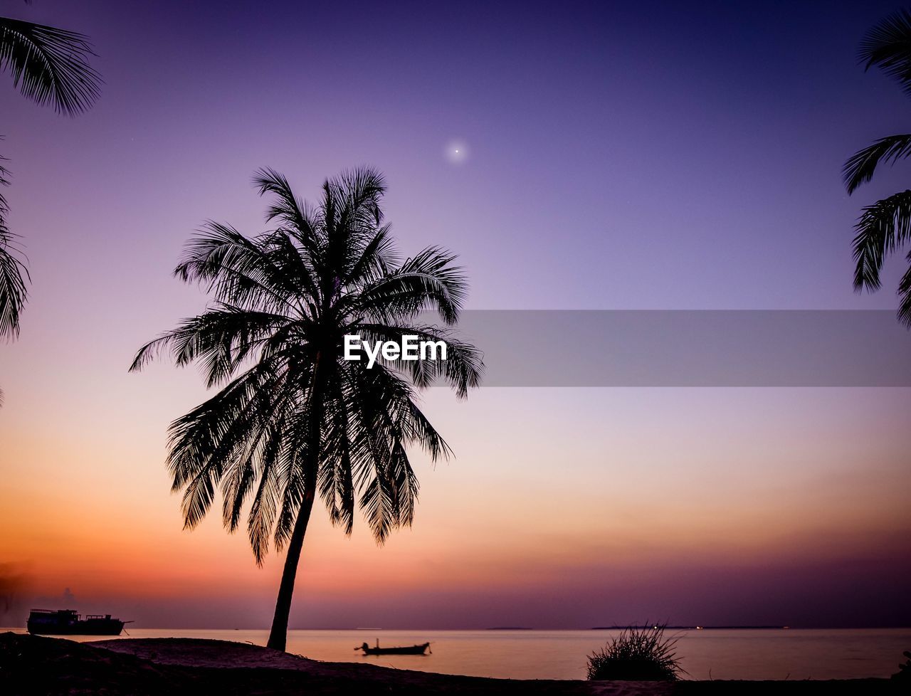 Silhouette palm tree by sea against sky at sunset