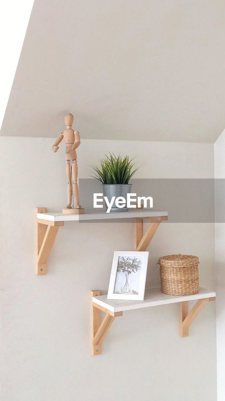 indoors, furniture, wood, shelf, plant, flowerpot, potted plant, table, nature, adult, creativity, home interior, one person, human representation, houseplant, representation, wall - building feature