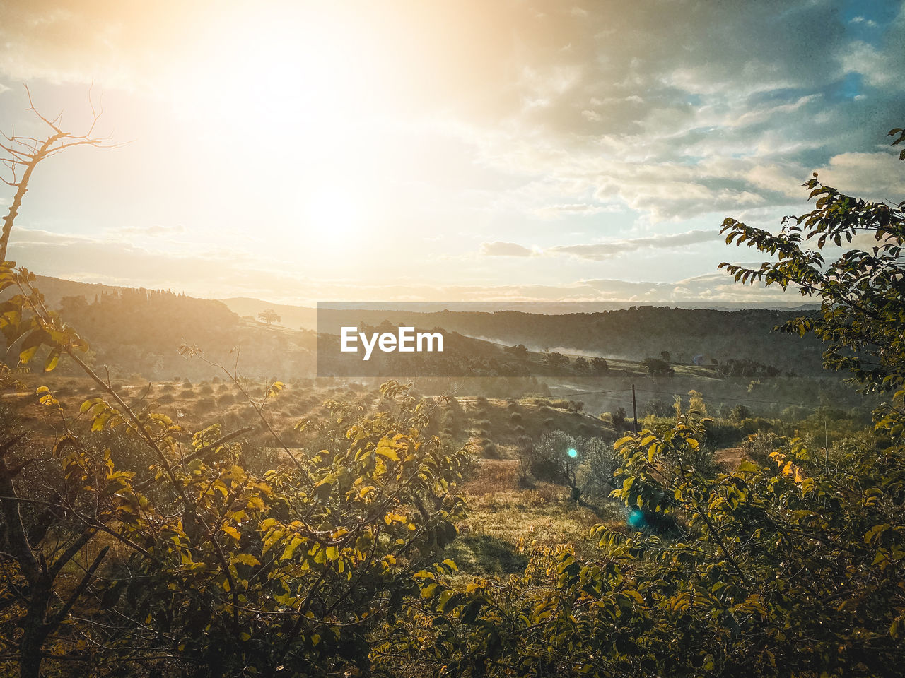 Scenic view of field against sky during sunset in tuscany