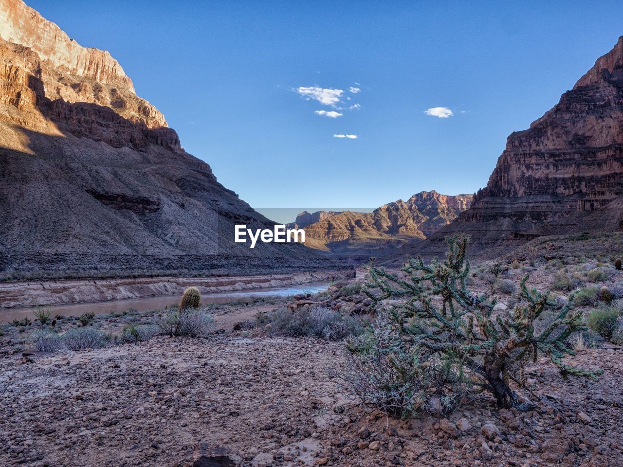 Rock formations in a desert