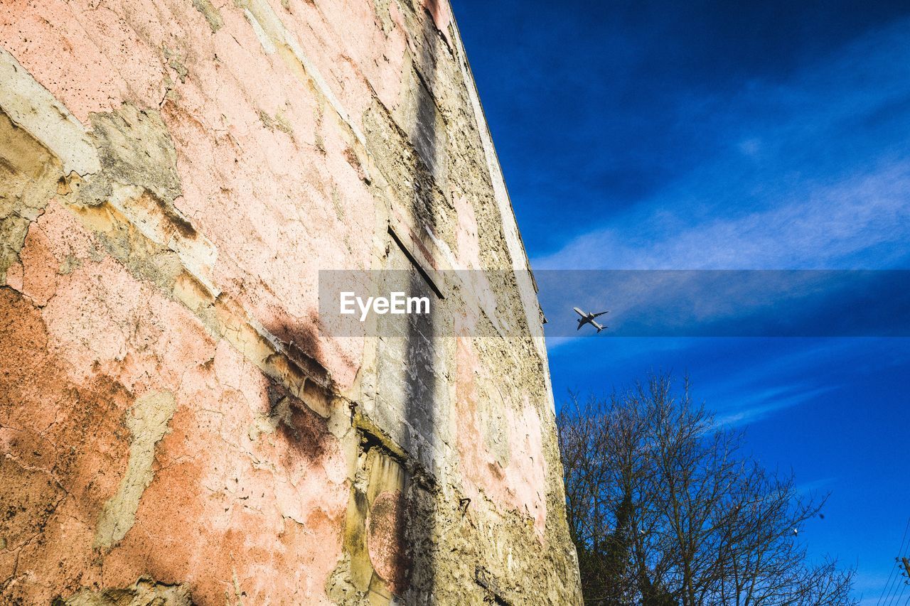 LOW ANGLE VIEW OF BIRD FLYING AGAINST SKY