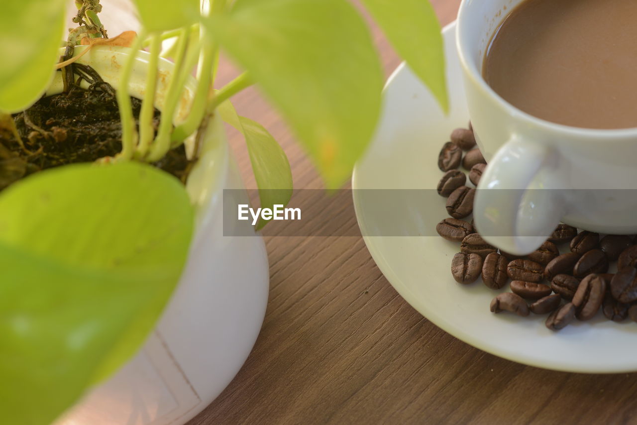 HIGH ANGLE VIEW OF COFFEE CUP WITH TEA