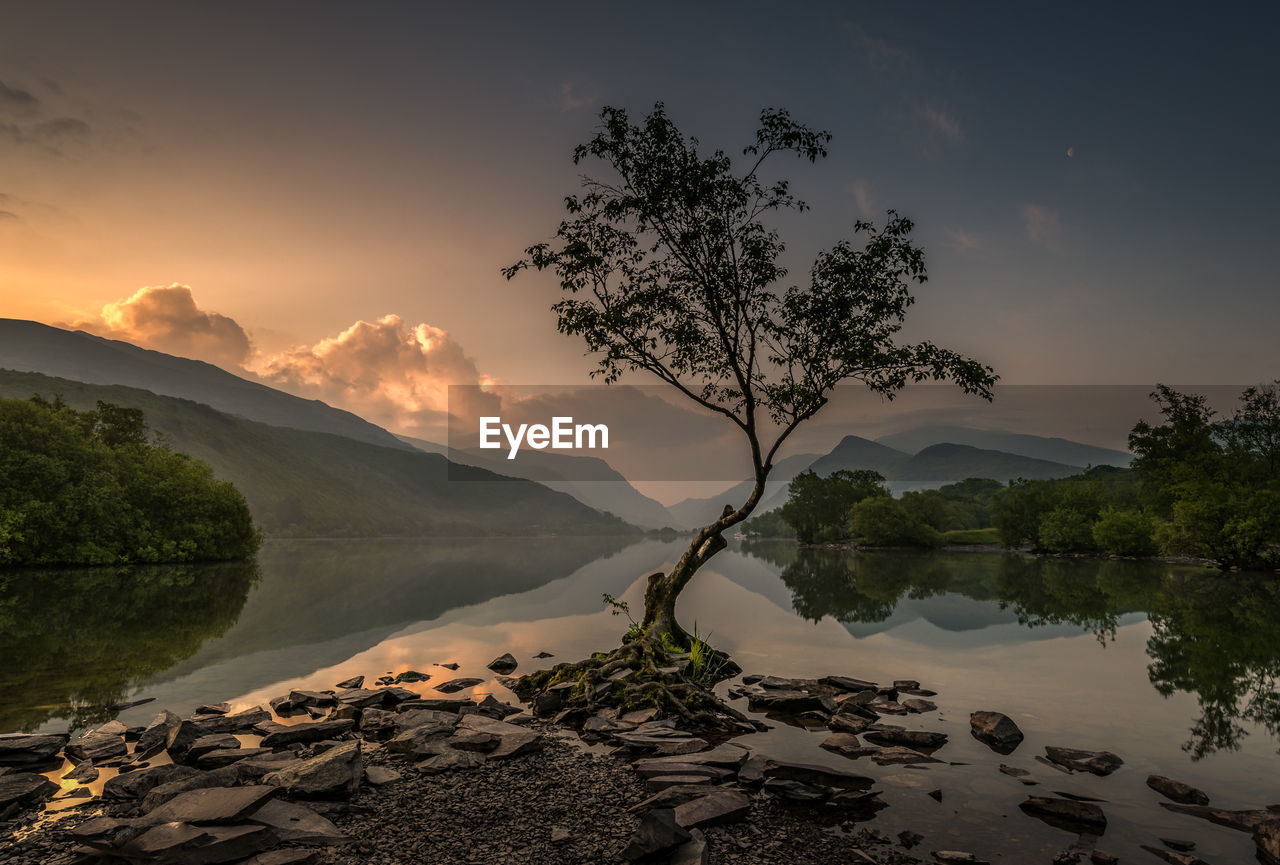 Trees by lake against sky during sunset