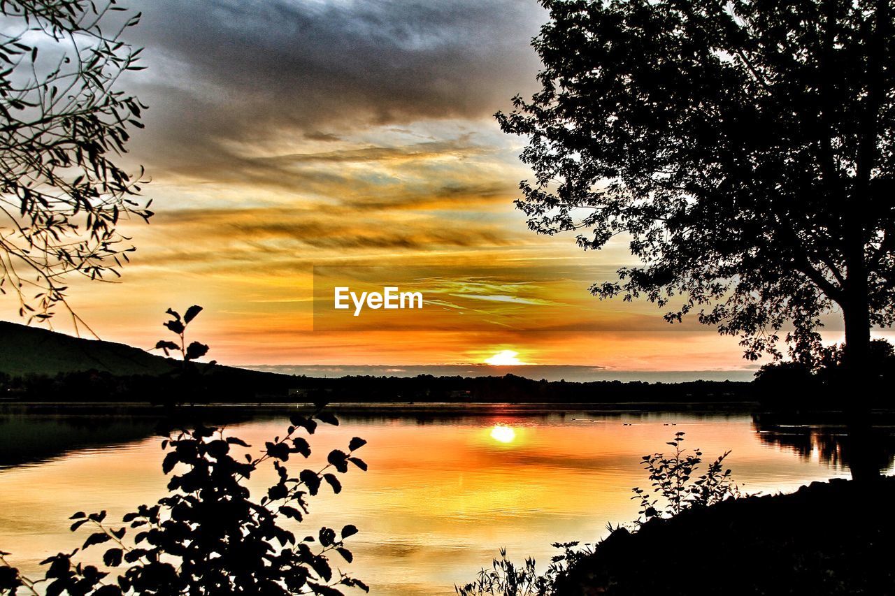 SILHOUETTE TREES BY LAKE AGAINST ORANGE SKY