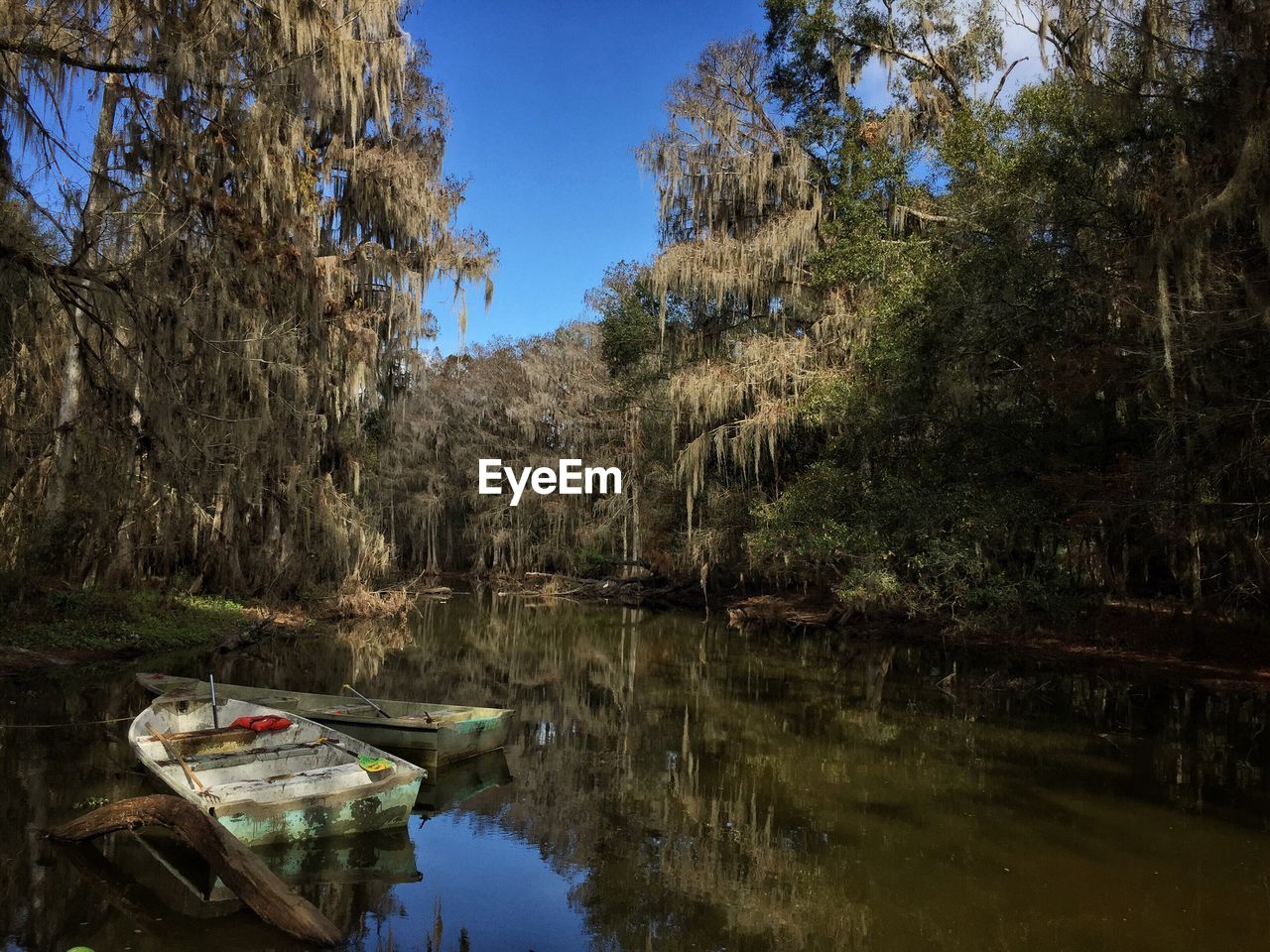 REFLECTION OF TREES IN LAKE