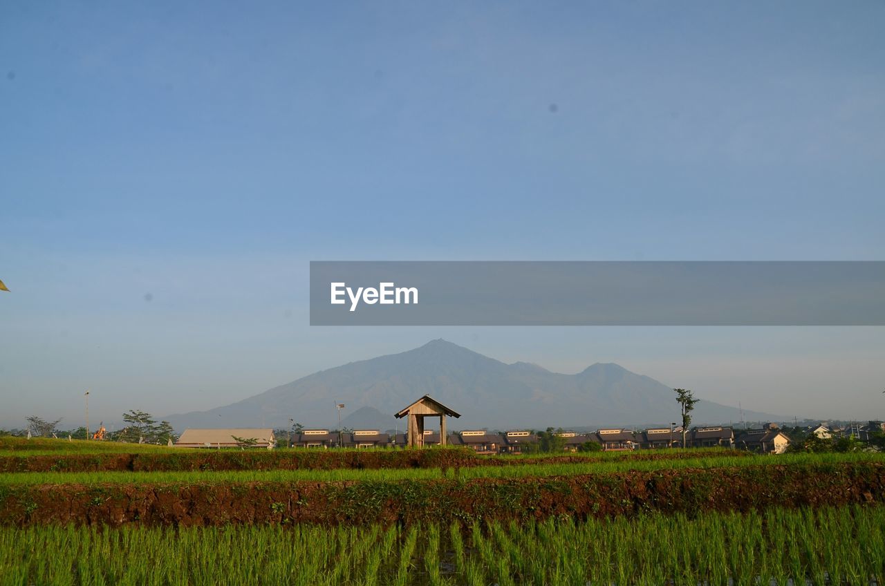 AGRICULTURAL FIELD AGAINST SKY