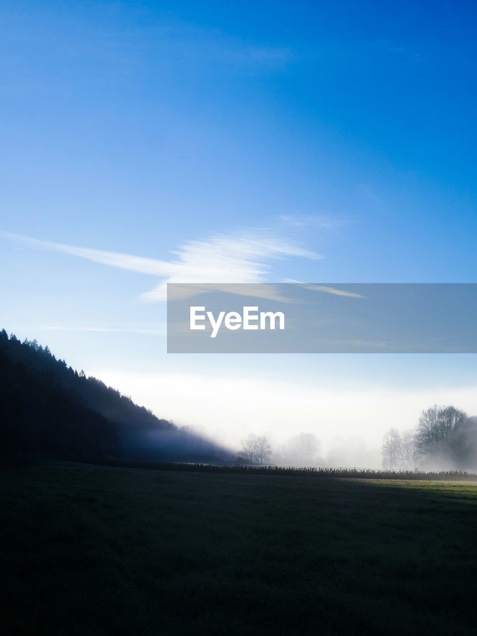 Scenic view of field against sky during foggy weather