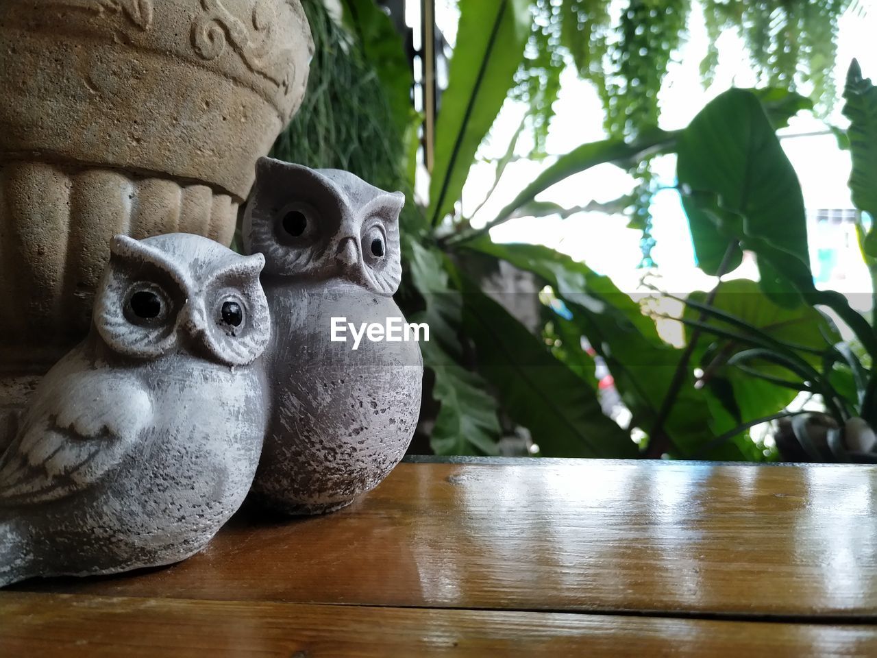 CLOSE-UP OF BIRDS PERCHING ON A TABLE