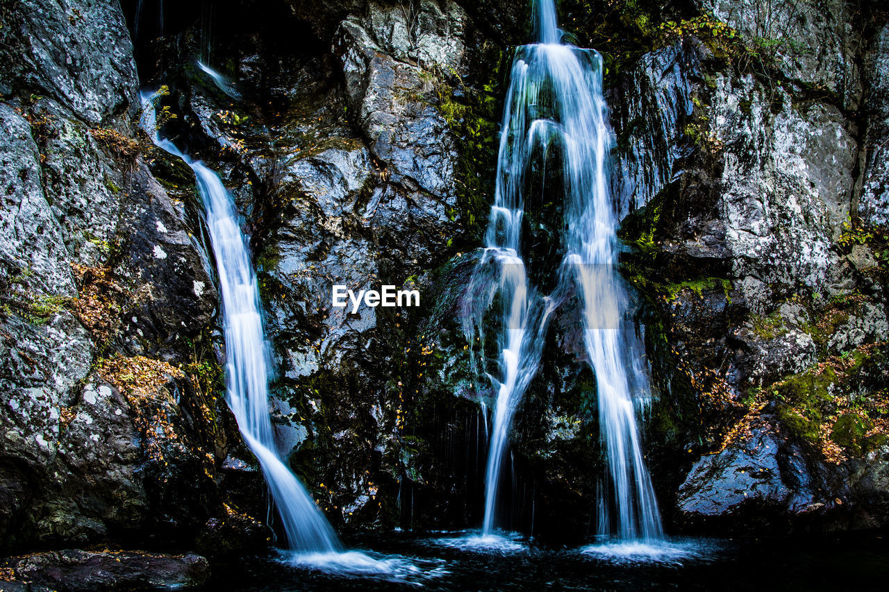 WATERFALL IN FOREST