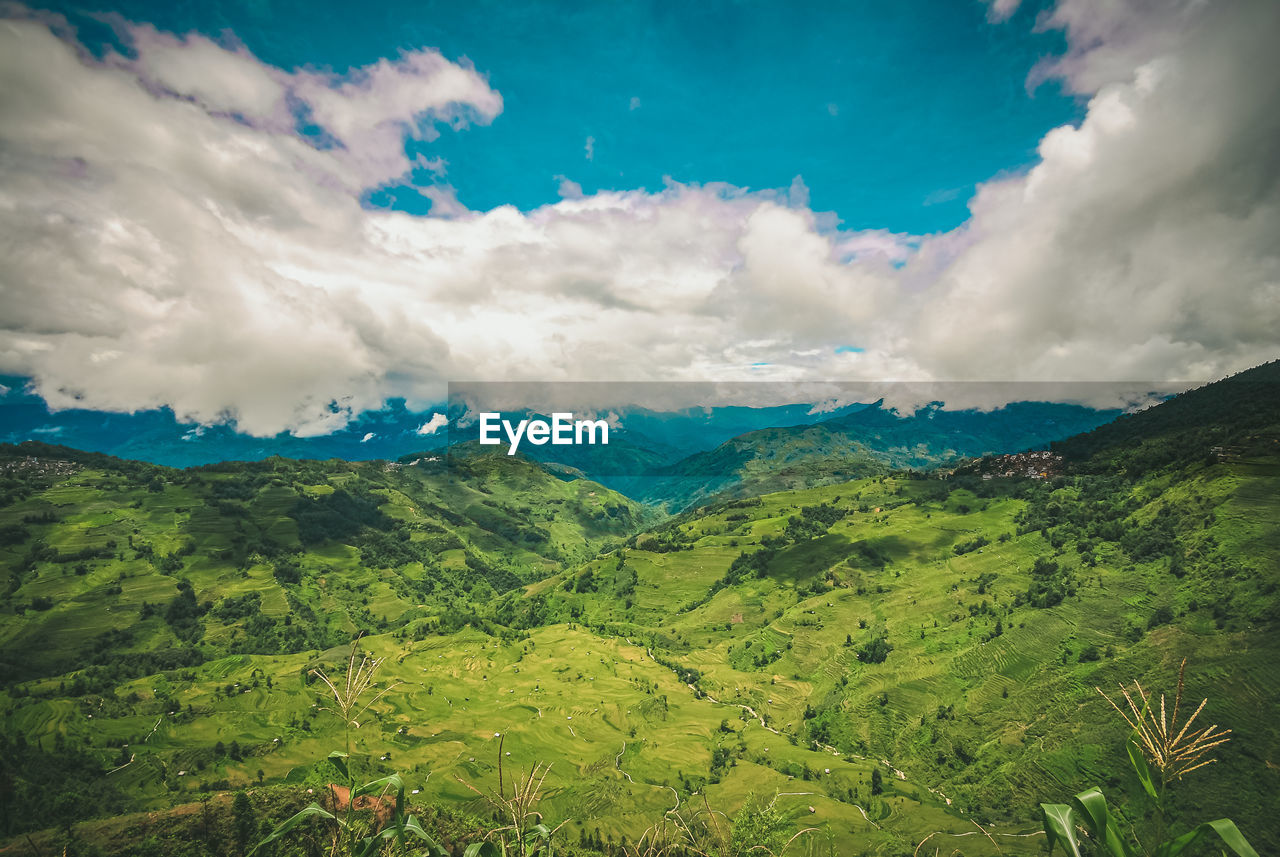 Rice paddy valley under the clouds