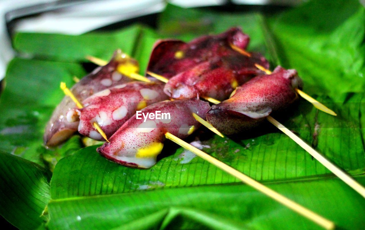 Close-up of octopus on banana leaves