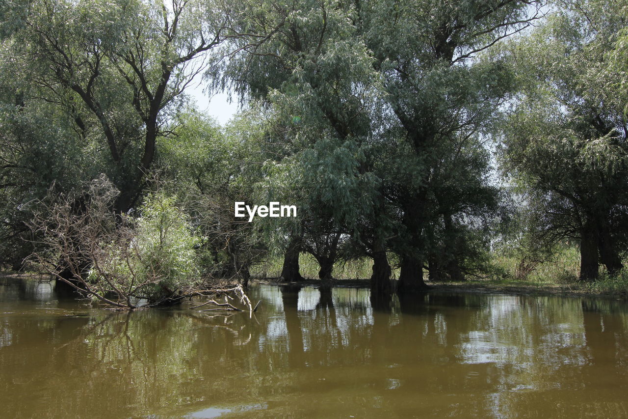 SCENIC VIEW OF LAKE