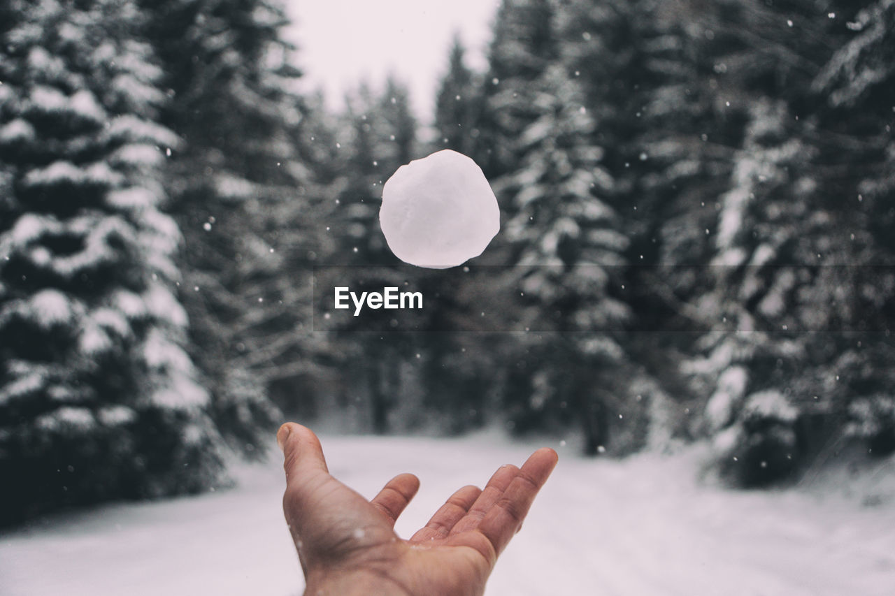 Human hand throwing snowball against trees