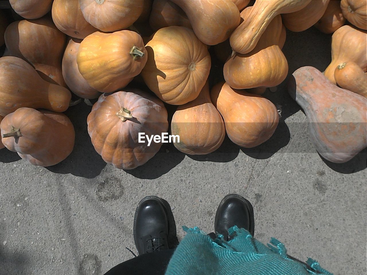 Close-up of pumpkins