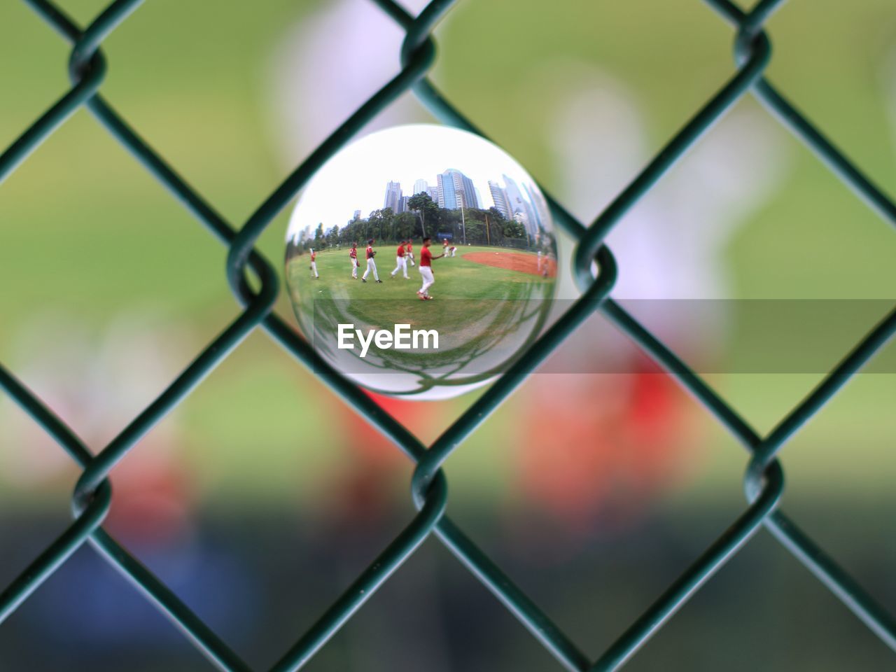 chainlink fence, fence, green, security, light, protection, close-up, glass, circle, focus on foreground, no people, macro photography, nature, metal, day, wire mesh, outdoors, chain-link fencing, architecture, branch, sunlight, leaf, reflection, backgrounds, blue, wire, pattern, sky, city