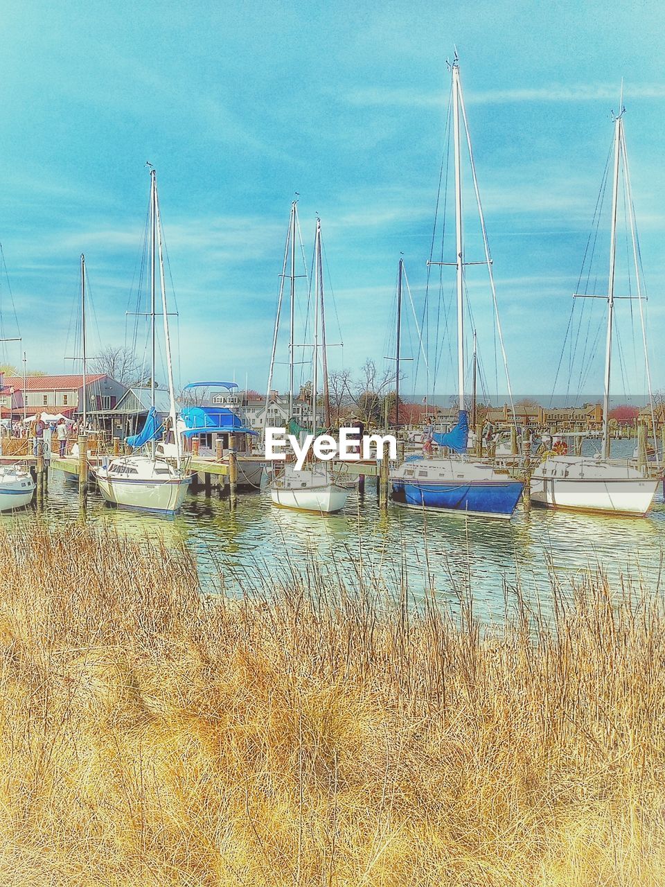 SAILBOATS MOORED IN HARBOR