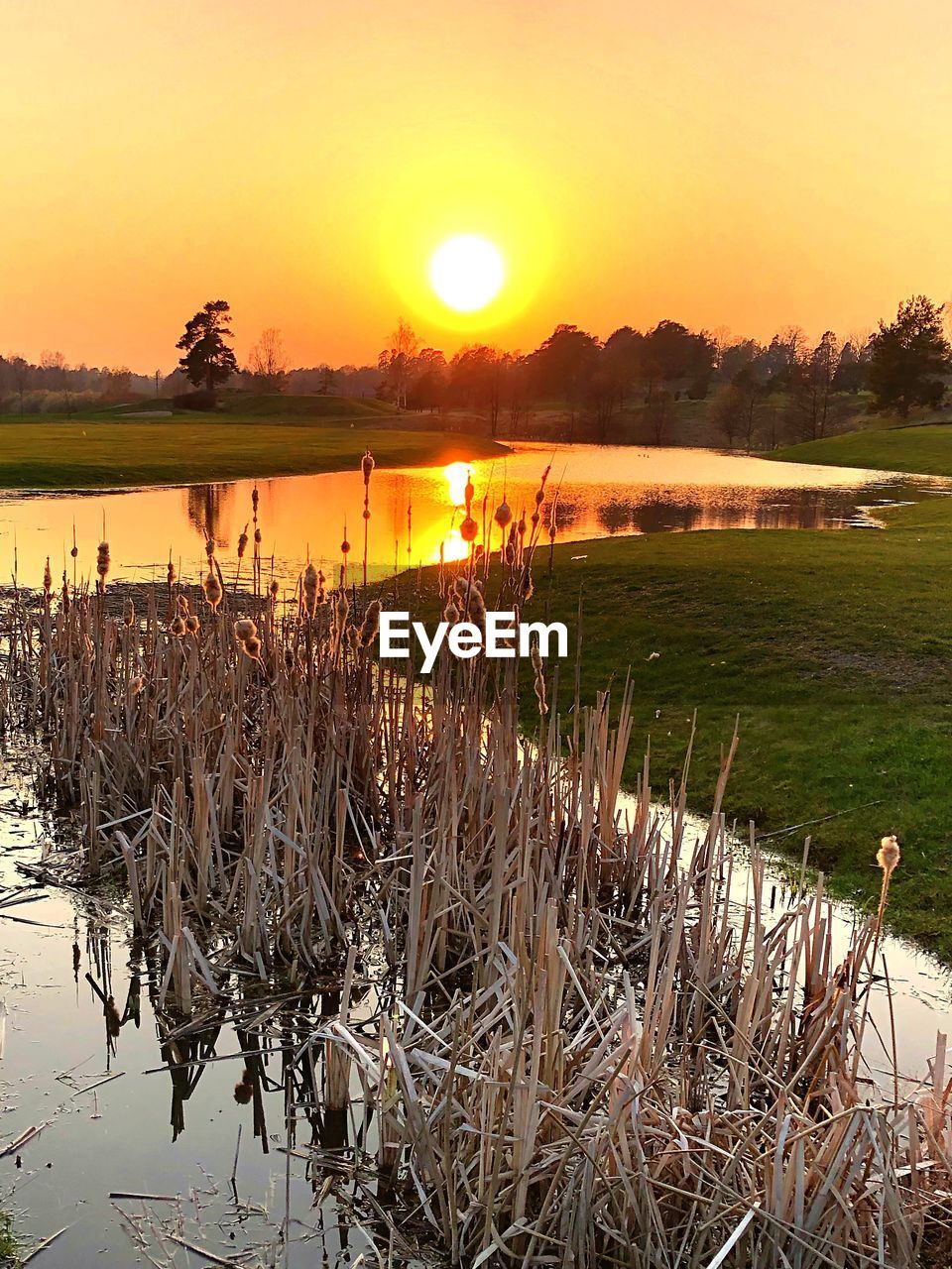 SCENIC VIEW OF LAKE DURING SUNSET