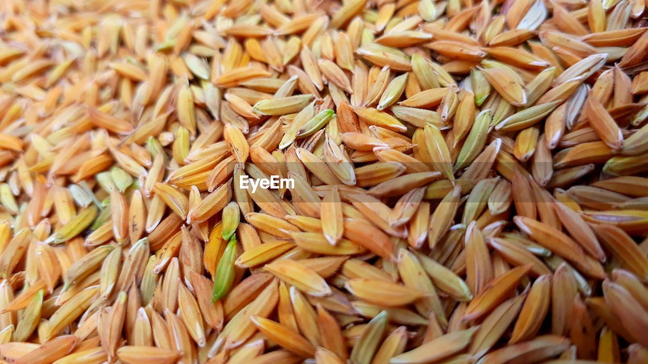 Full frame shot of fresh rice grain