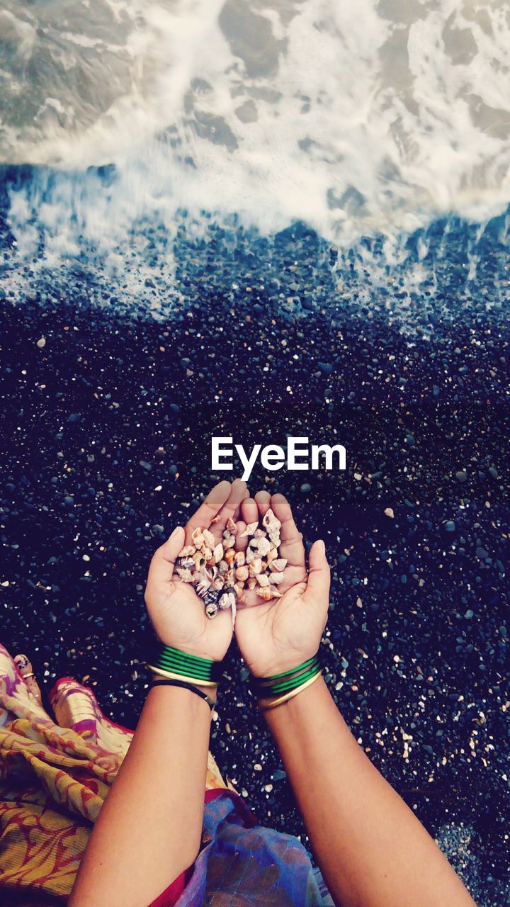 Directly above view of woman holding seashells on shore at beach