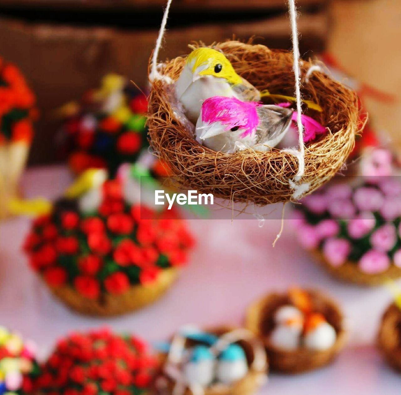 CLOSE-UP OF PEACOCK HANGING FROM BIRD IN BASKET