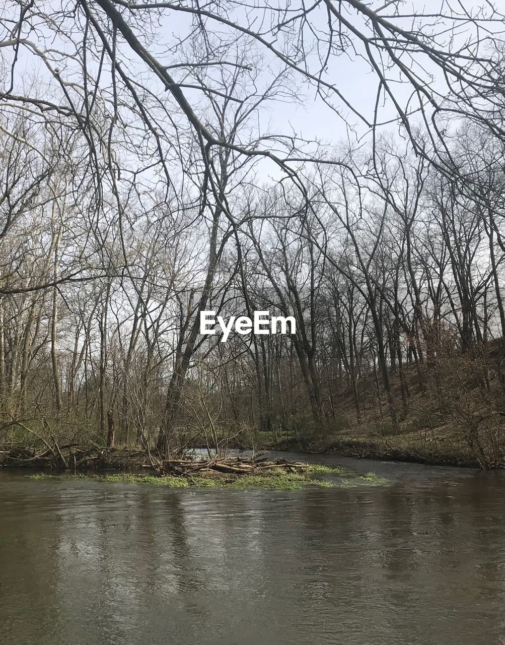 SCENIC VIEW OF RIVER FLOWING THROUGH FOREST