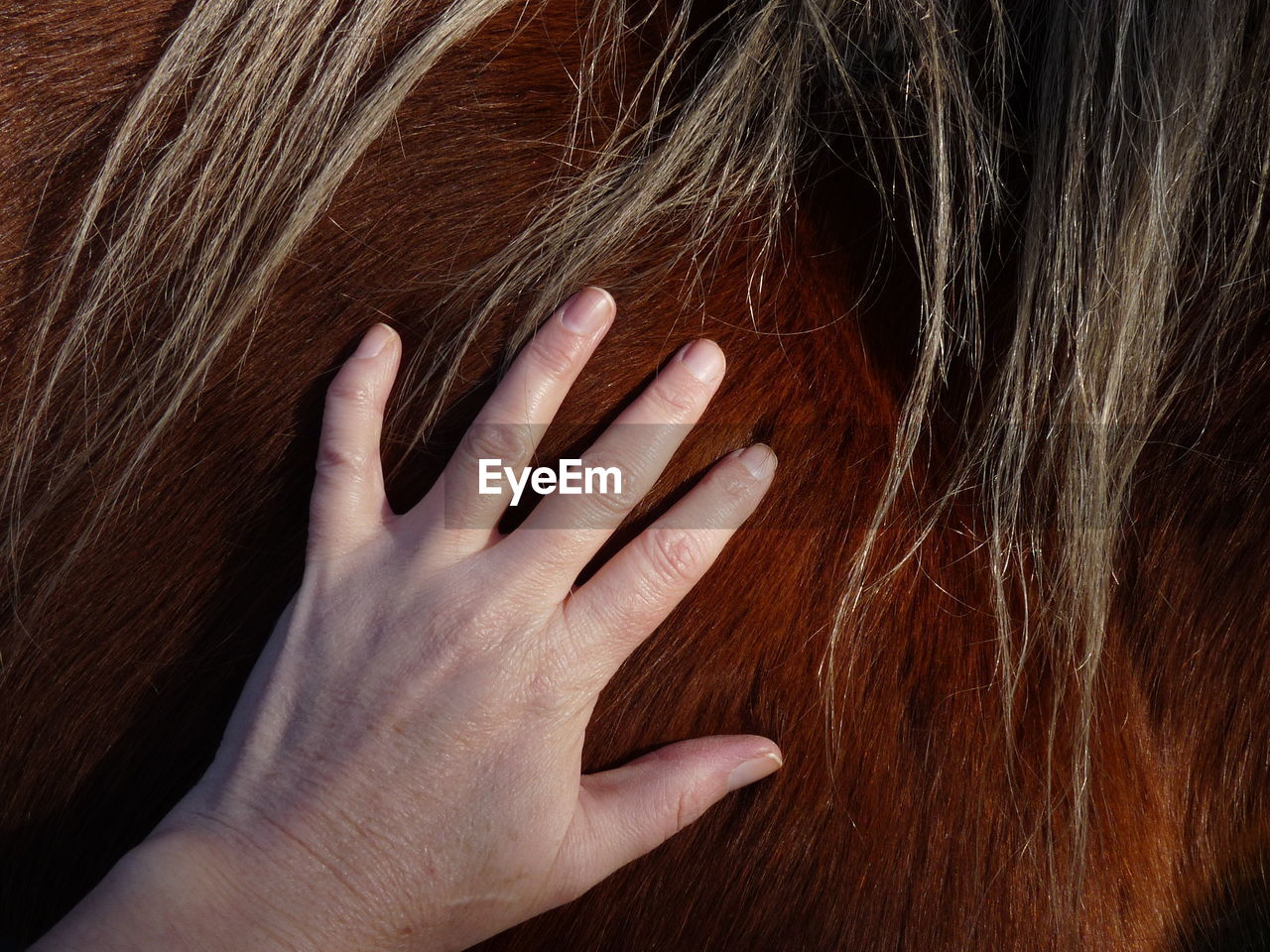 Close-up of human hand against black background