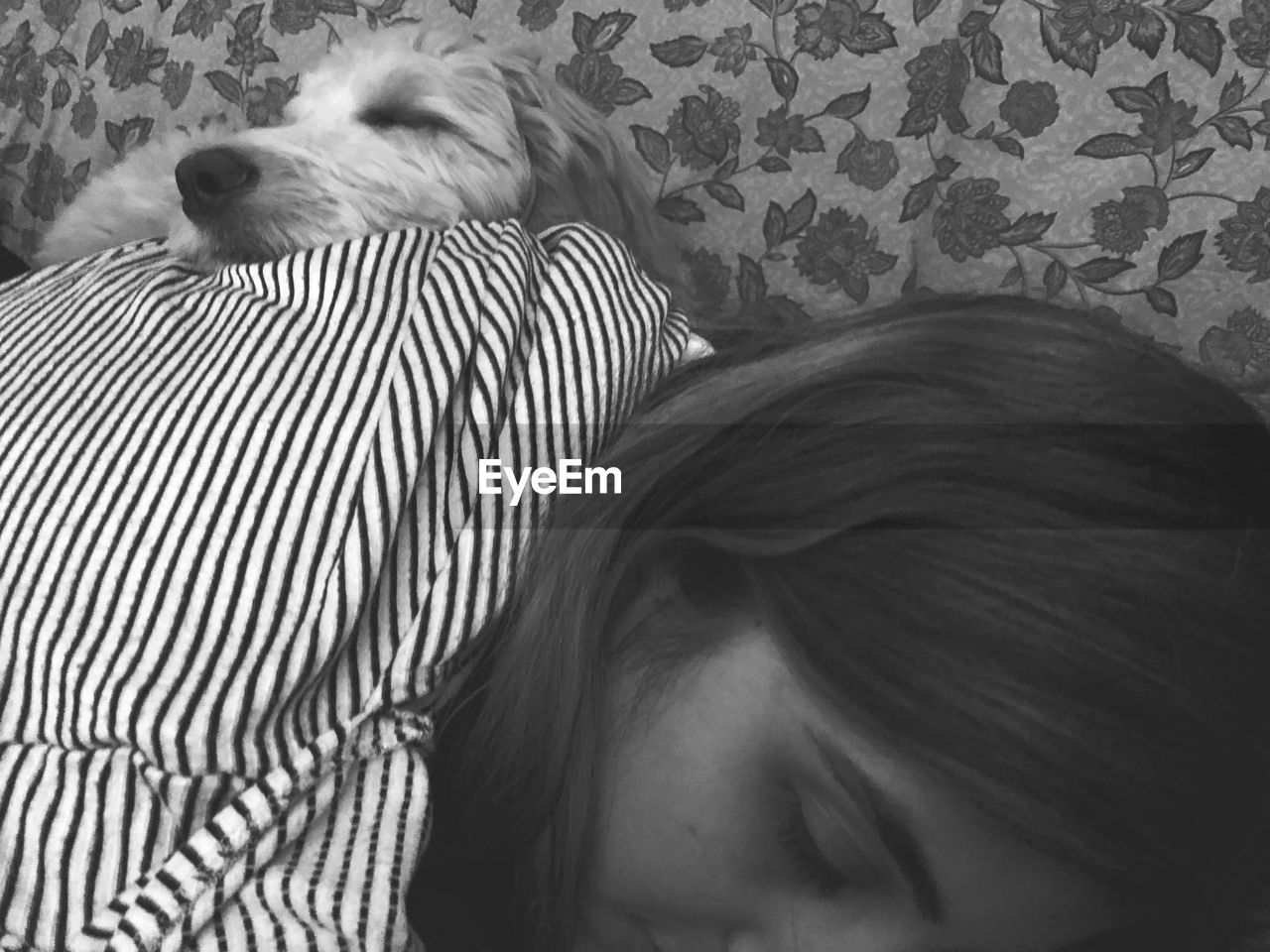 Close-up of dog and woman resting at home