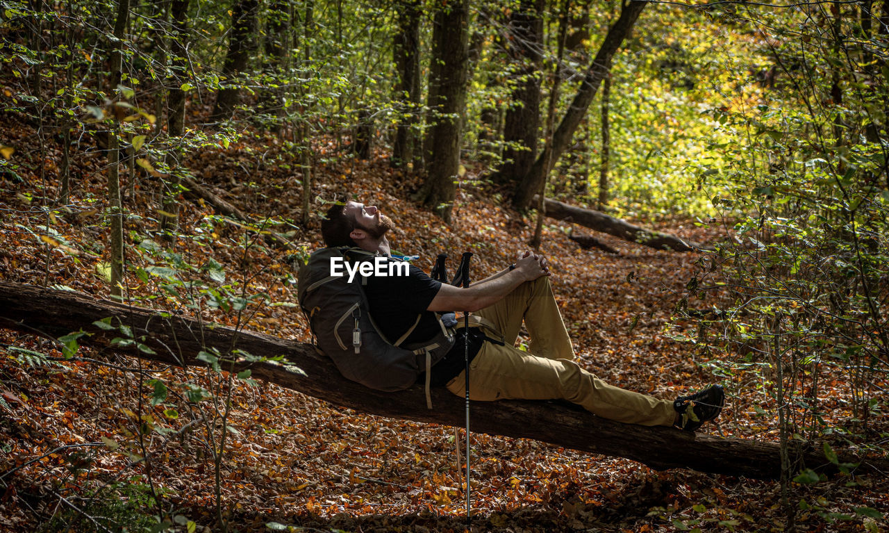 Man sitting on tree trunk in forest
