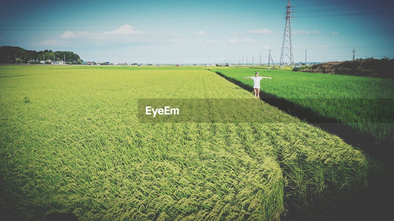 SCENIC VIEW OF RURAL LANDSCAPE