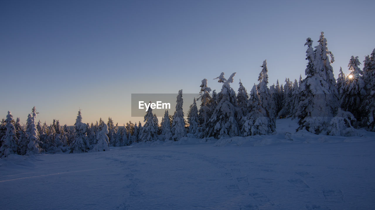 Snow covered land and trees against clear blue sky
