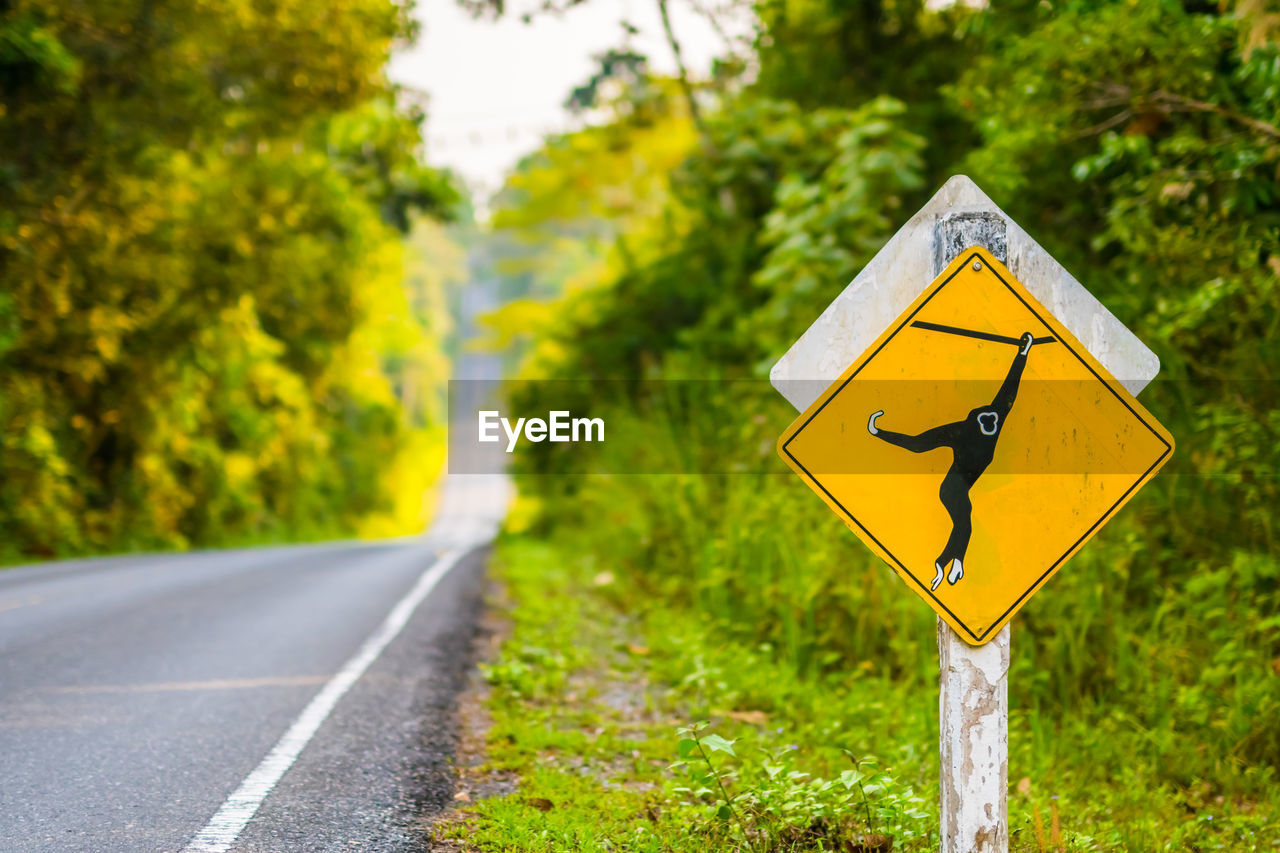 ROAD SIGN AGAINST TREES AND PLANTS ON DIRT