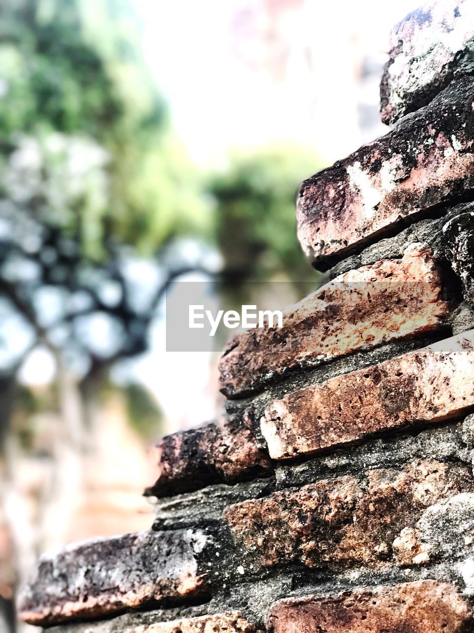 Close-up of brick wall outdoors