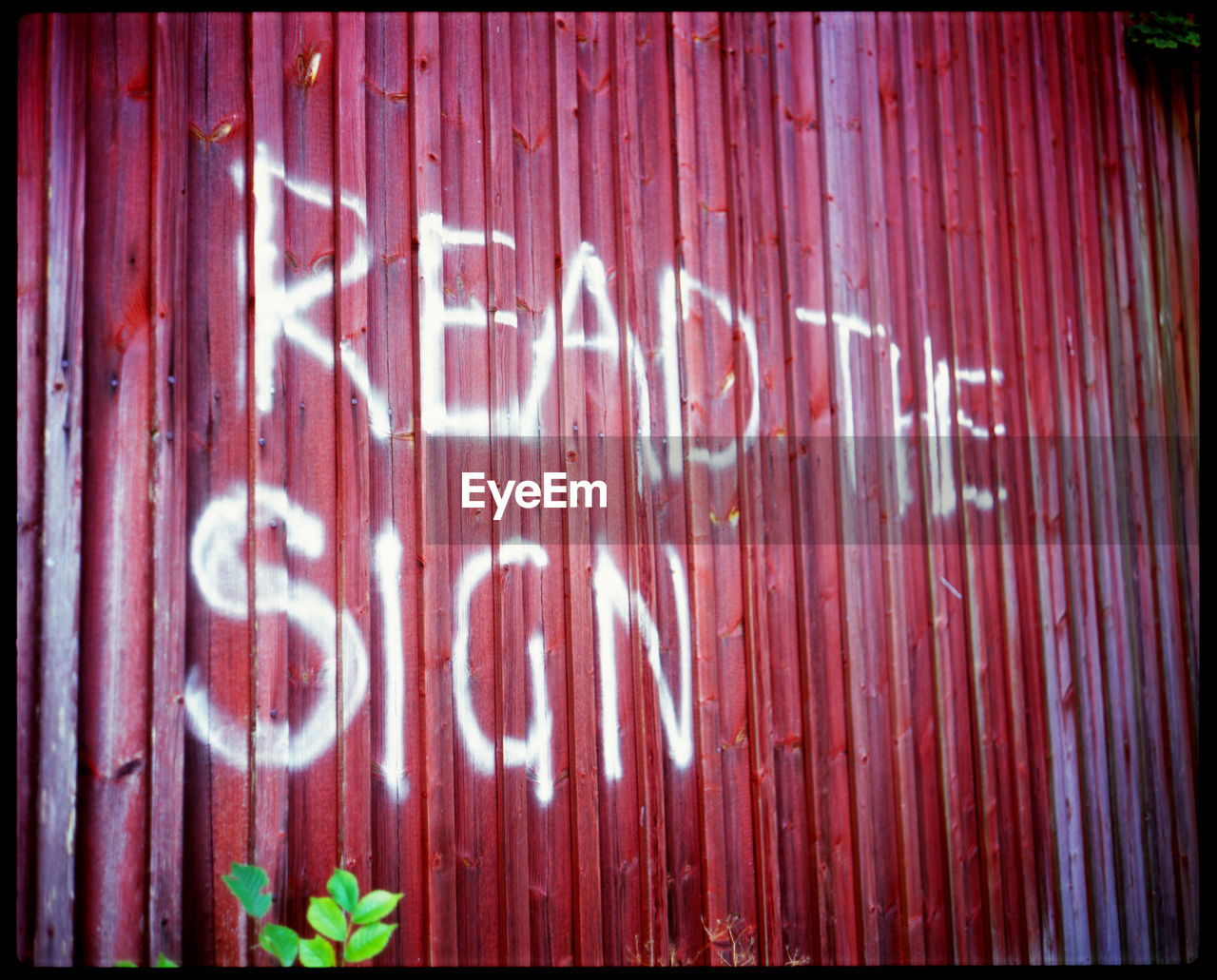 Graffiti text on wooden wall