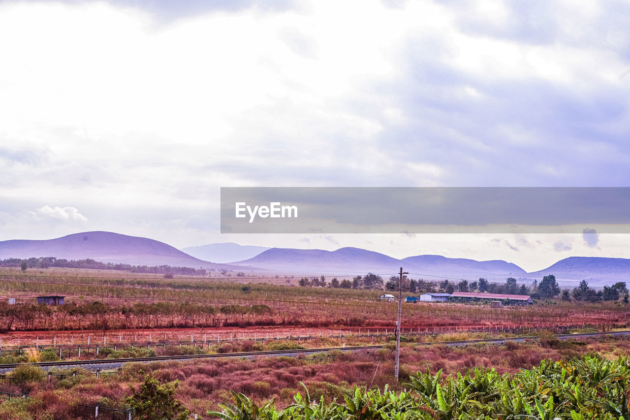 landscape, environment, sky, mountain, scenics - nature, cloud, land, nature, beauty in nature, plant, horizon, plain, rural scene, field, no people, tranquility, agriculture, tranquil scene, rural area, mountain range, grassland, plateau, outdoors, day, morning, prairie, travel destinations, non-urban scene, flower, travel, food and drink, natural environment, tree, valley, food, growth, grass, farm, freshness